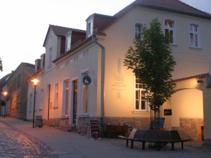 Foto: Abendsegler 