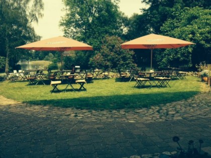 Foto: Abendsegler 